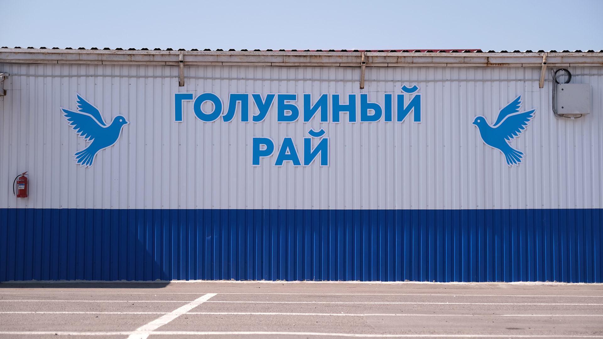 Голубиный рай